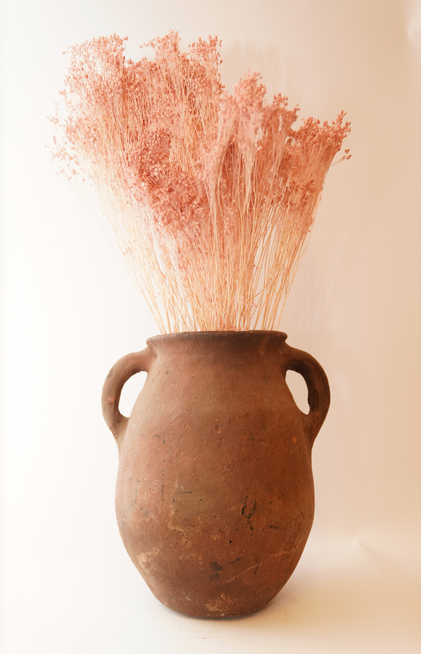 Light Pink Dried Broom Bloom Per Stem
