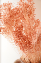 Load image into Gallery viewer, Light Pink Dried Broom Bloom Per Stem
