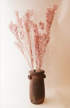 Load image into Gallery viewer, Preserved Dusky Pink Ruscus Per Stem
