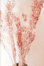 Load image into Gallery viewer, Preserved Dusky Pink Ruscus Per Stem
