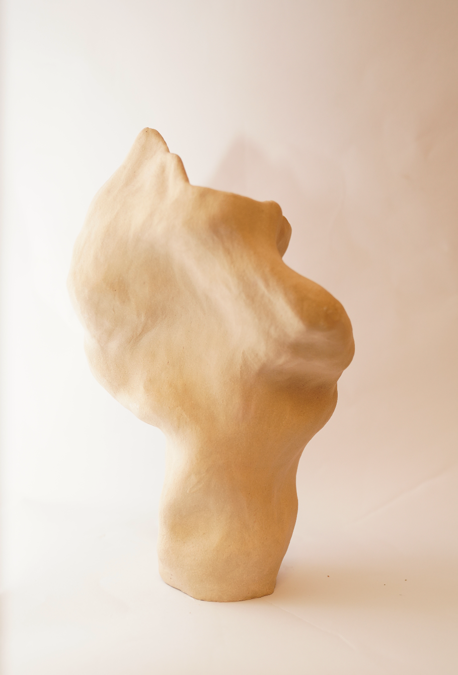 ULA Sculptural Vessel 5