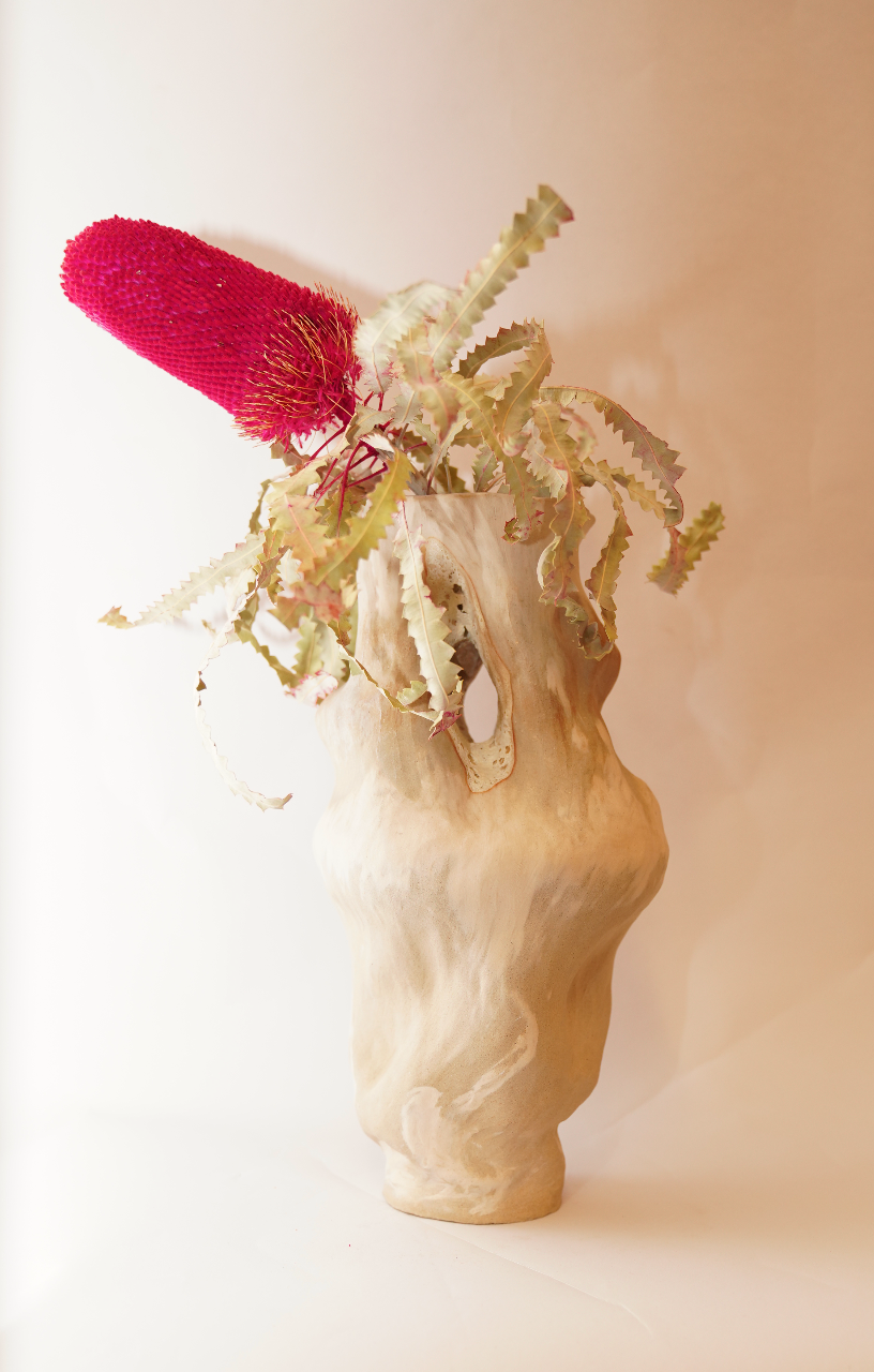 Dried Red Banksia Stem