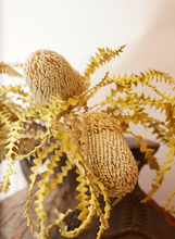 Load image into Gallery viewer, Dried Natural Green Banksia Stem
